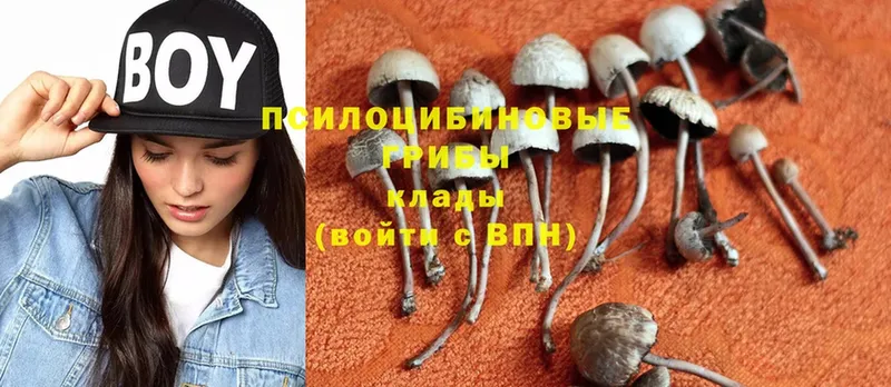 Галлюциногенные грибы MAGIC MUSHROOMS  Грайворон 